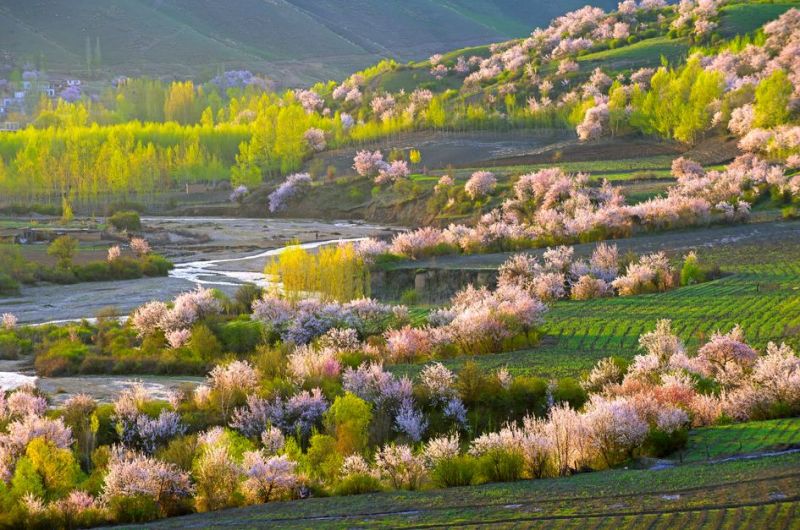 中华福寿山景区
