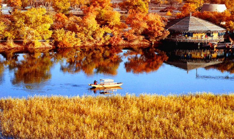 泽普县金胡杨国家森林公园