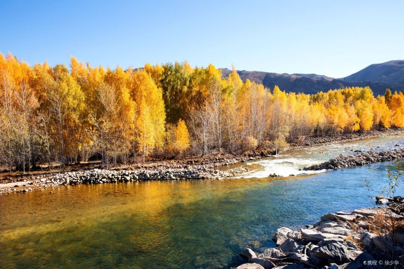 魔鬼城、喀纳斯、禾木、五彩滩、赛里木湖、那拉提大草原、巴音布鲁克九曲十八弯、 网红独库公路等著名景点一网打尽